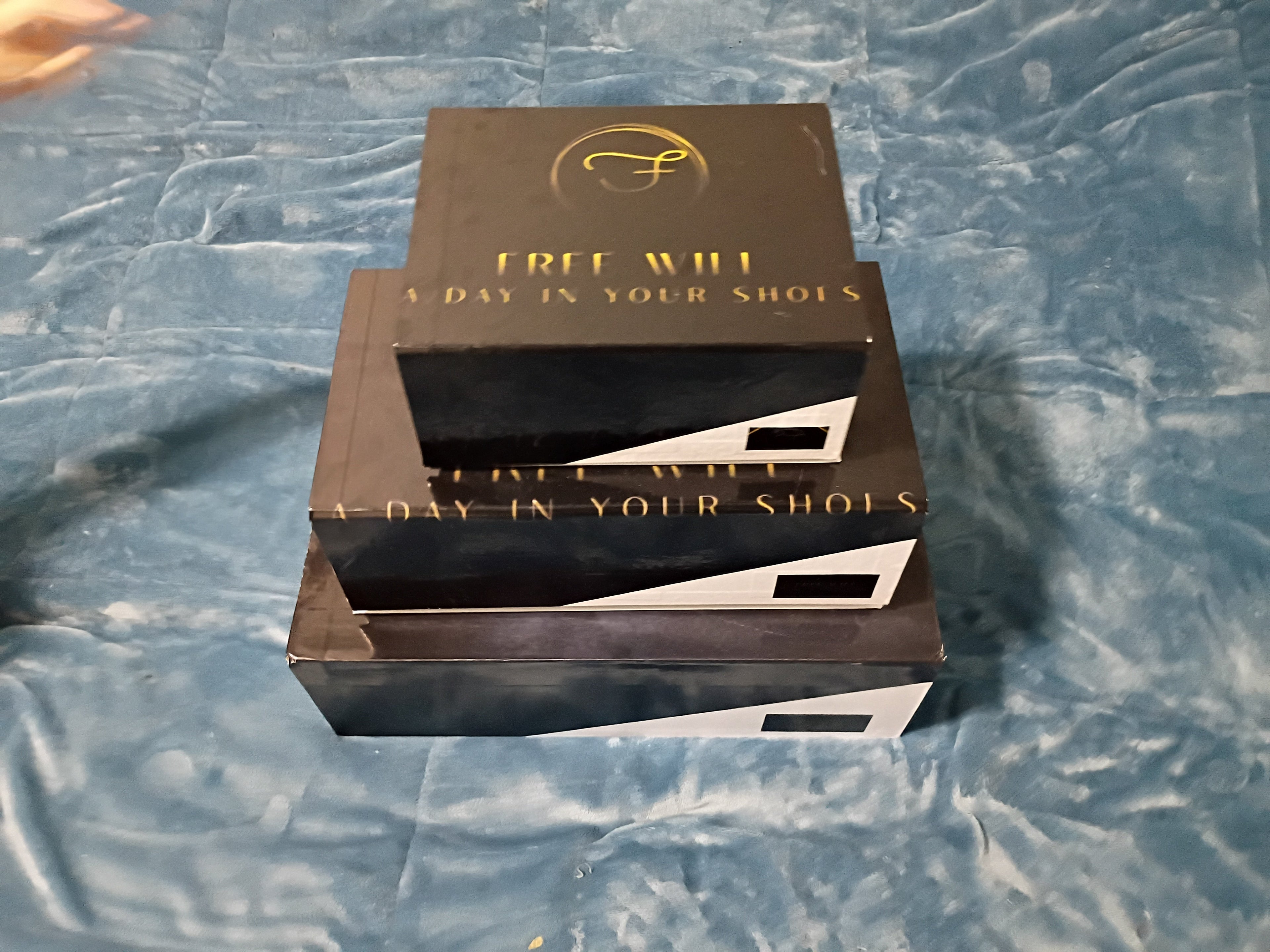 Free Will His and Hers